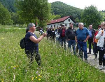 Udeleženci so spoznavali značilnice suhih travnikov (foto: AMK)